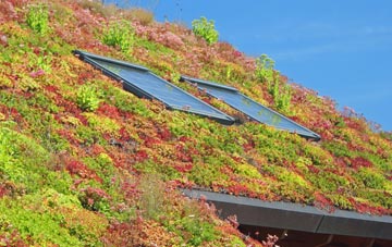 Salesbury living roof systems
