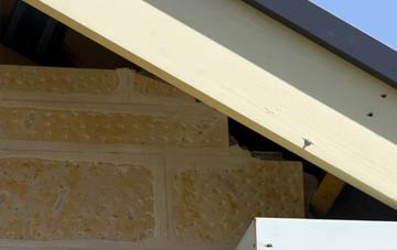 soffit repair Salesbury