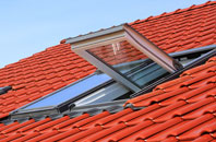 Salesbury roof window